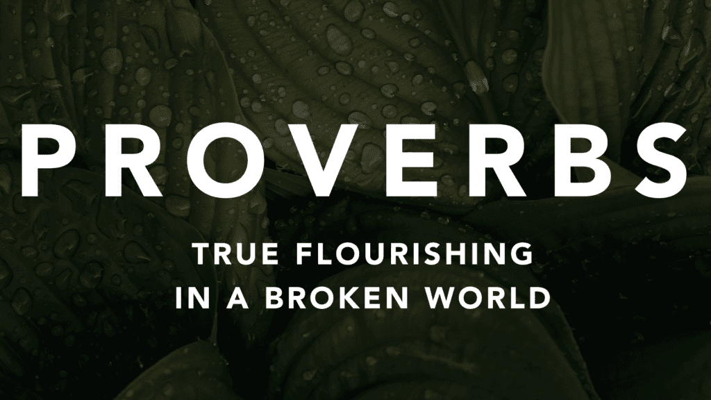 Proverbs: True Flourishing in a Broken World