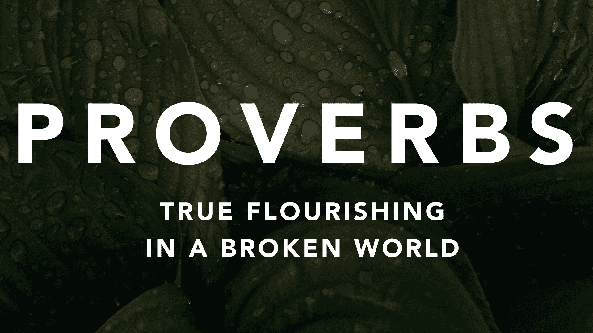 True Flourishing Pillar Church of Washington DC