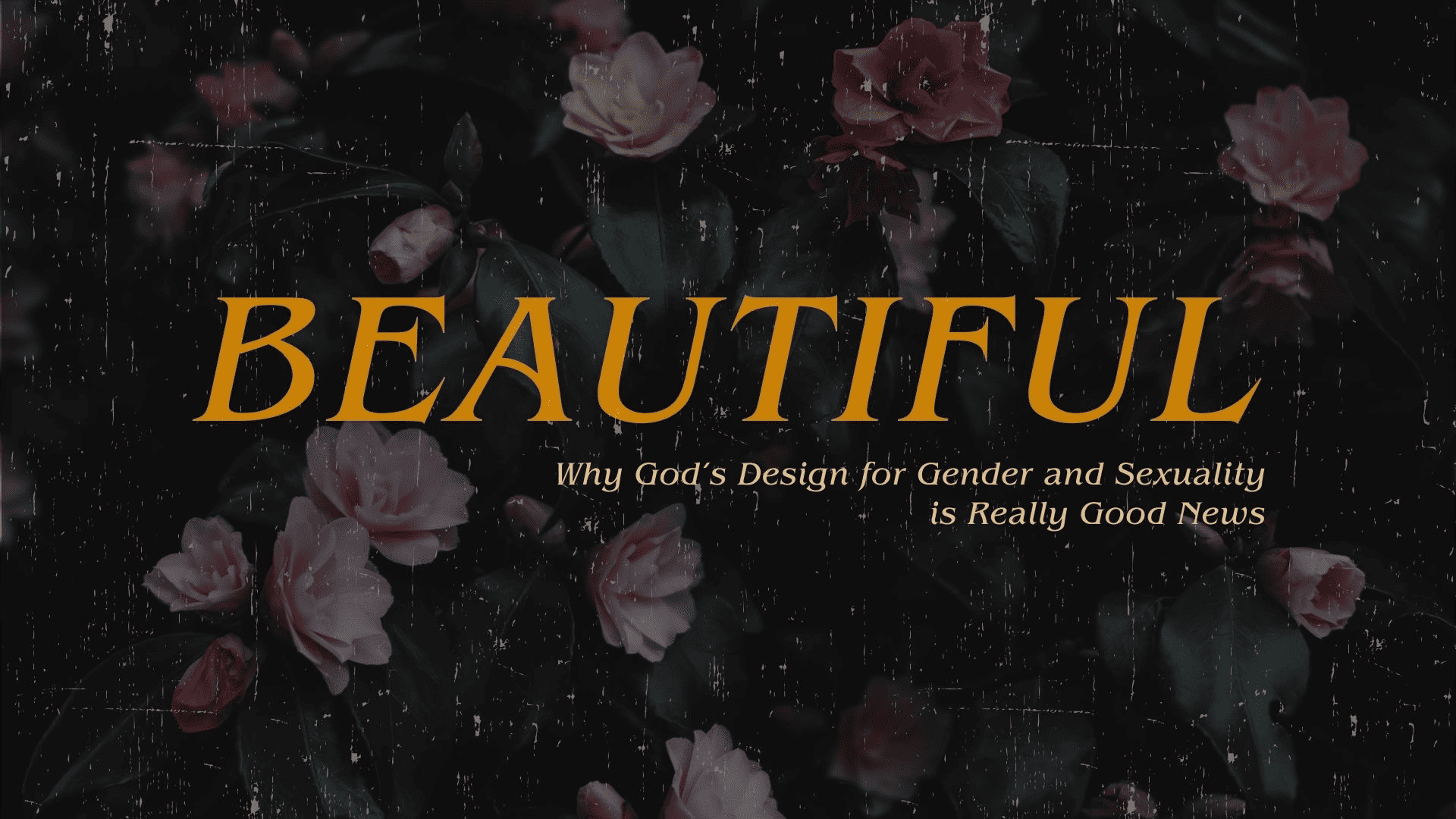 Undoing the Sexual Revolution Pillar Church of Washington DC